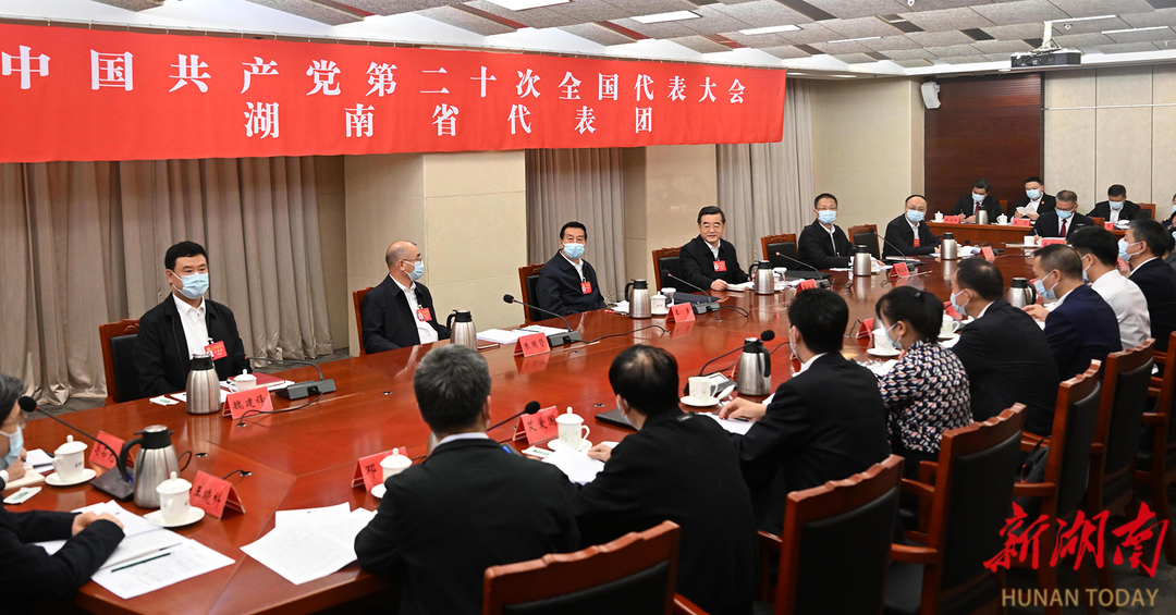 湖南代表团1.png