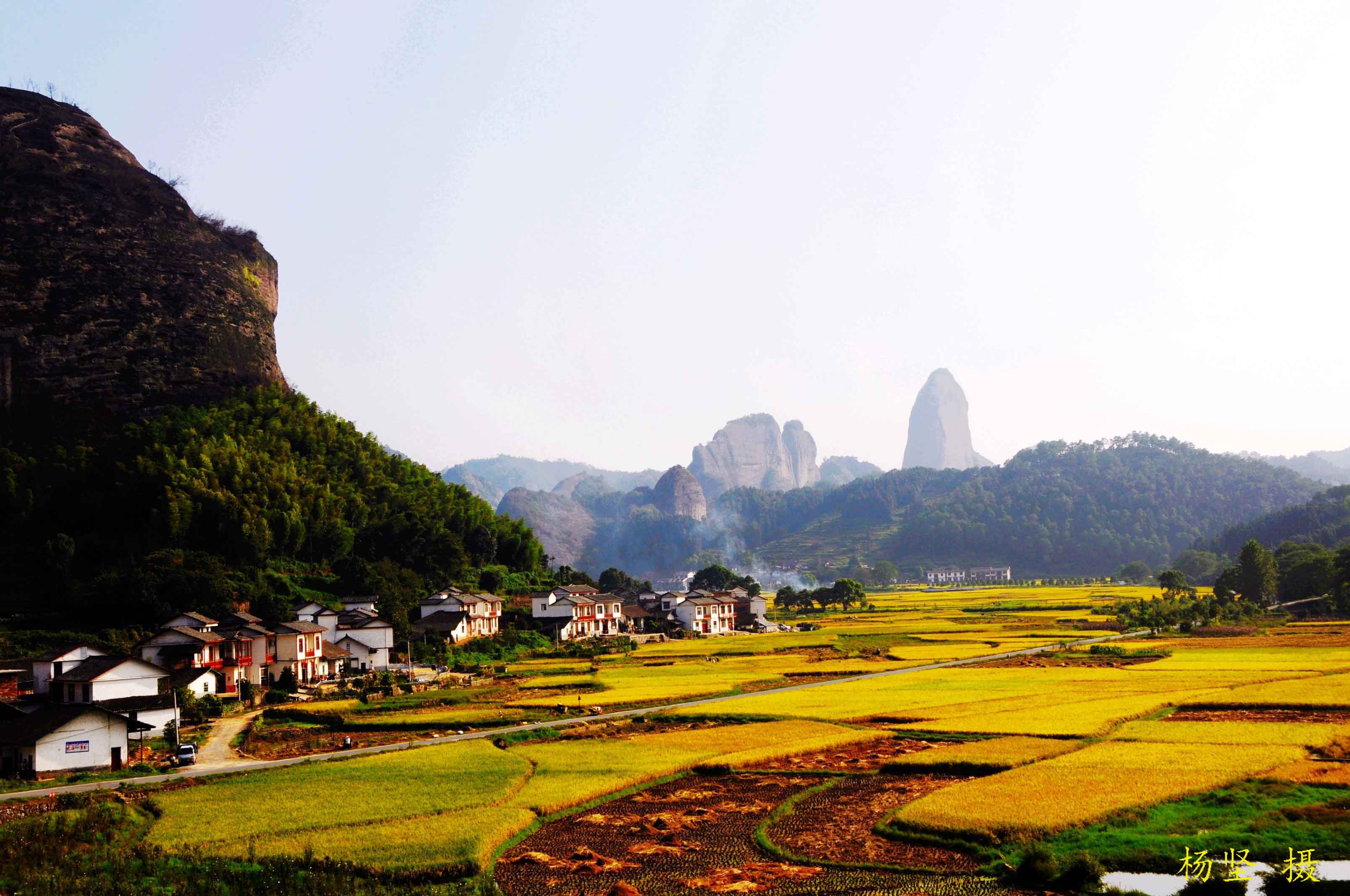 多姿多彩骆驼峰