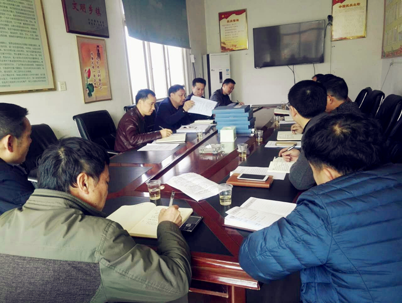 市督导组到黄龙镇督导村级换届工作